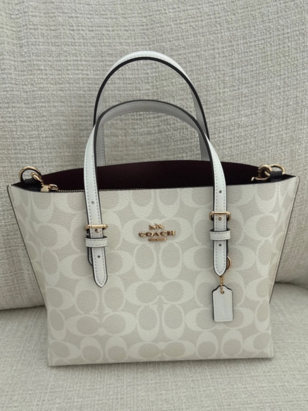 Coach Mollie Tote 25 Bag In Signature Canvas White Chalk C4250